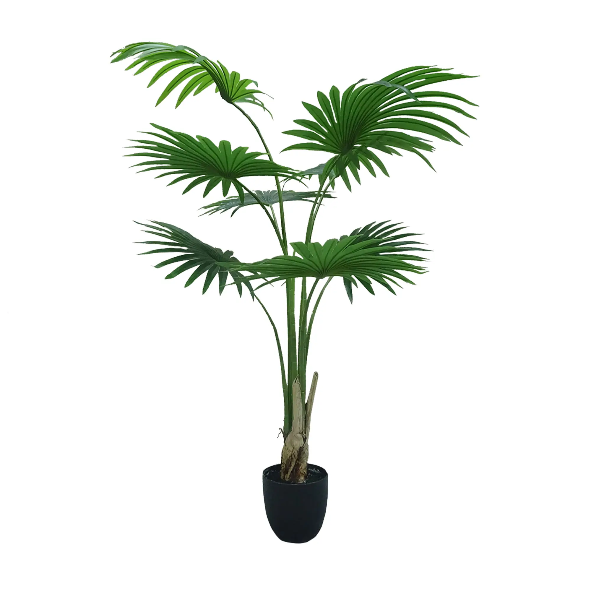 Artificial plant Washingtonia Robusta 2 160cm