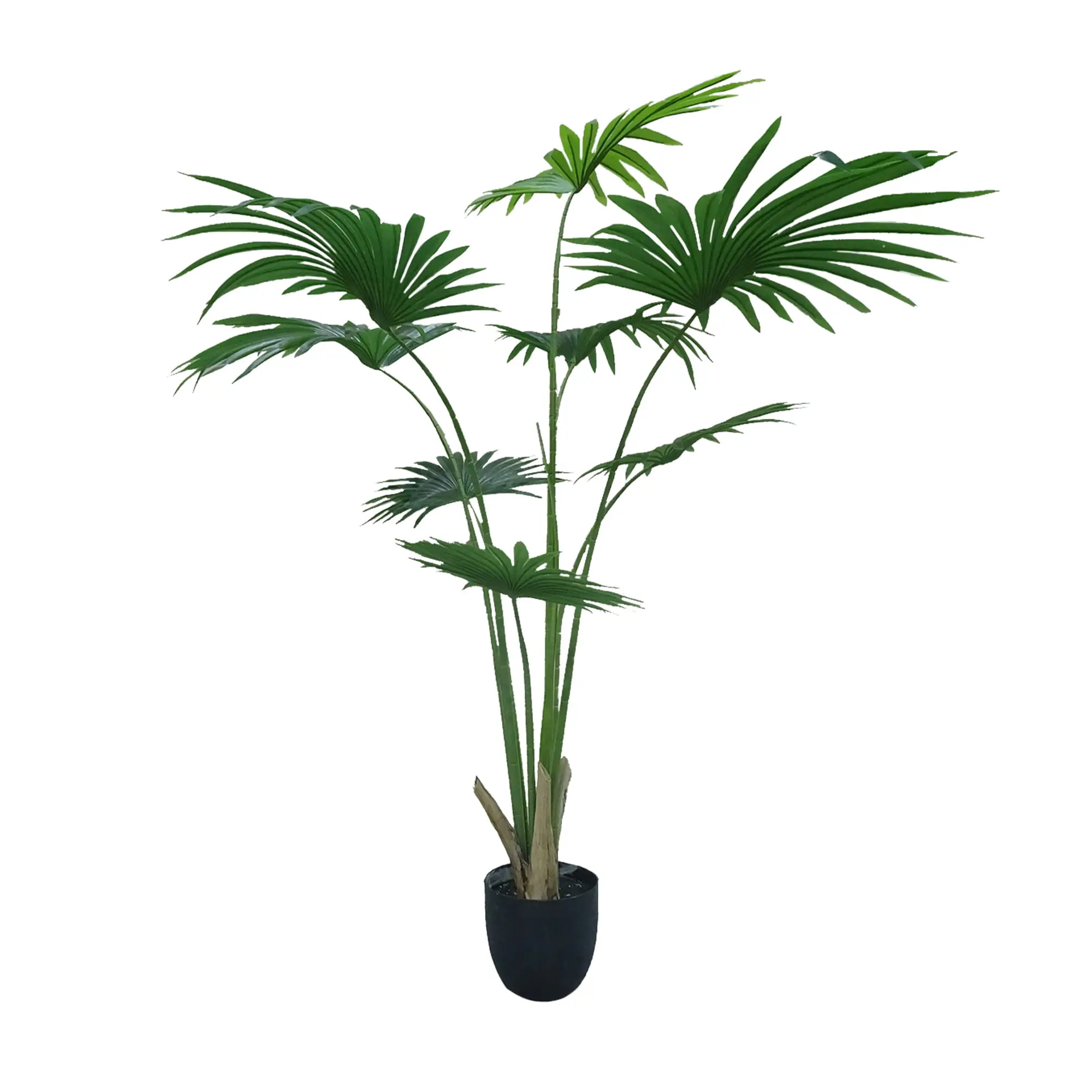 Artificial plant Washingtonia Robusta 2 180cm